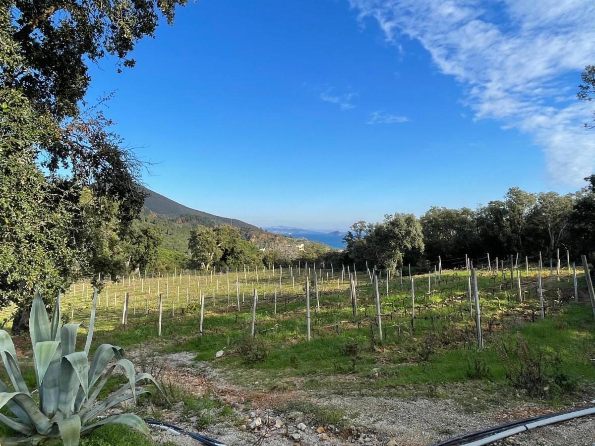 Agriturismo Le Sughere Rio Marina Eksteriør bilde